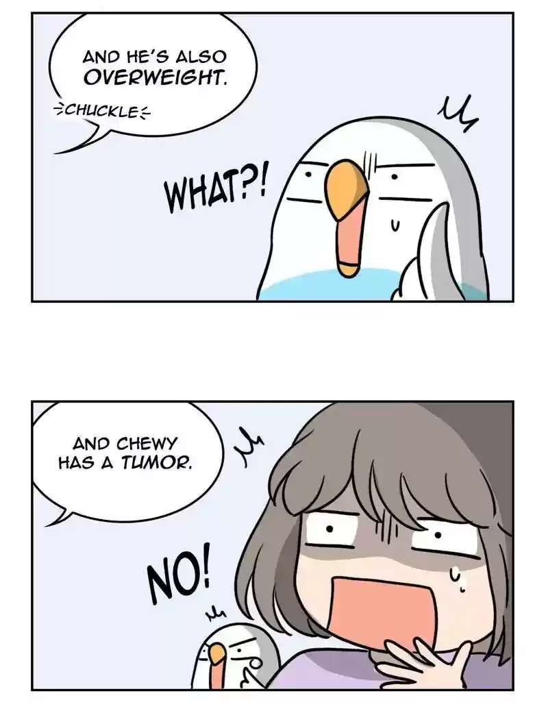 A Budgie's Life Chapter 380: Ep.378: