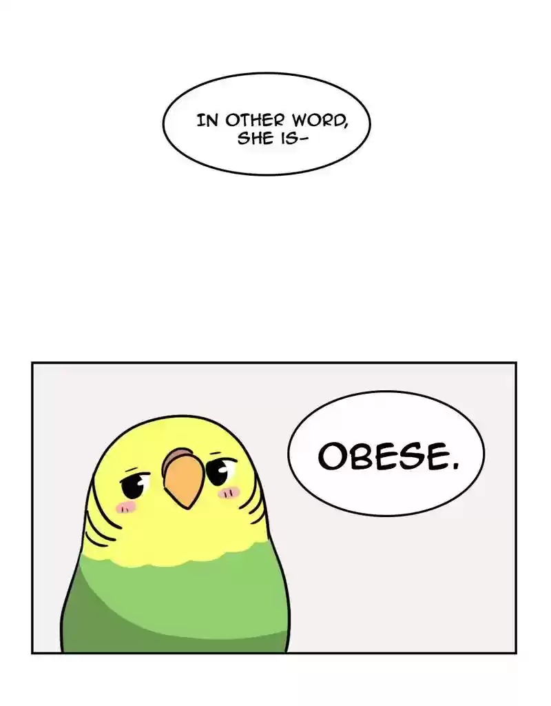A Budgie's Life Chapter 380: Ep.378: