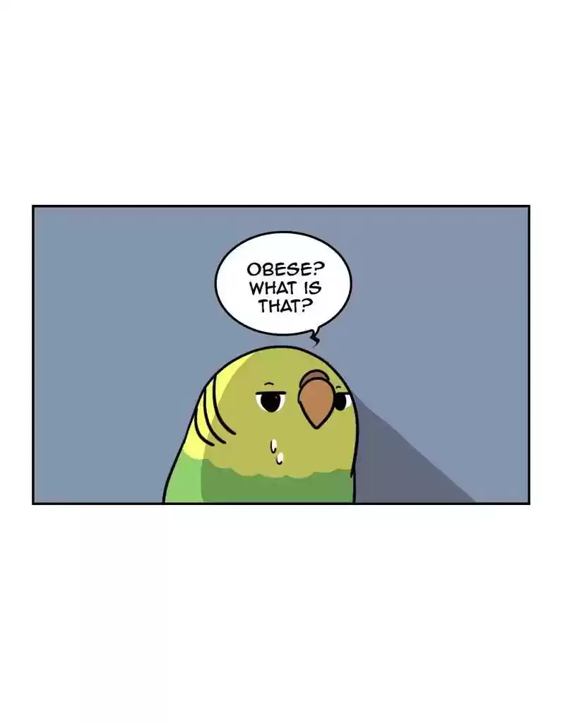 A Budgie's Life Chapter 380: Ep.378: