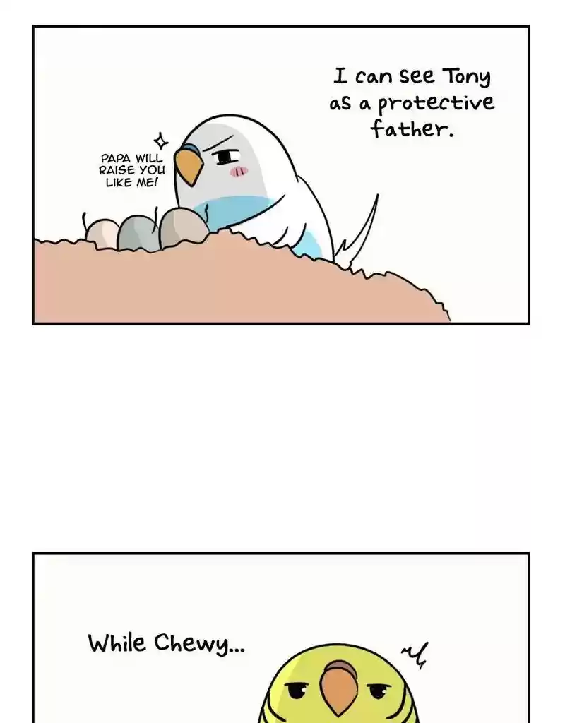 A Budgie's Life Chapter 381: Ep.379: