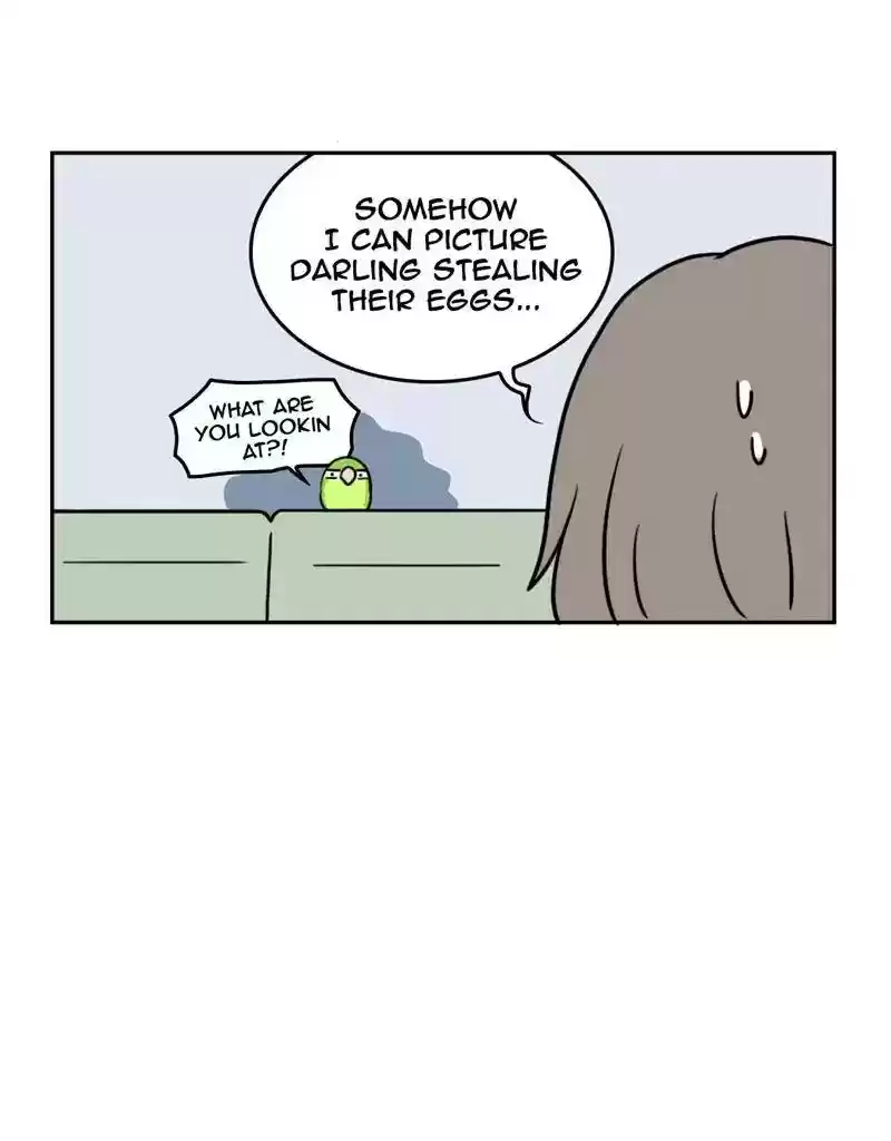 A Budgie's Life Chapter 381: Ep.379: