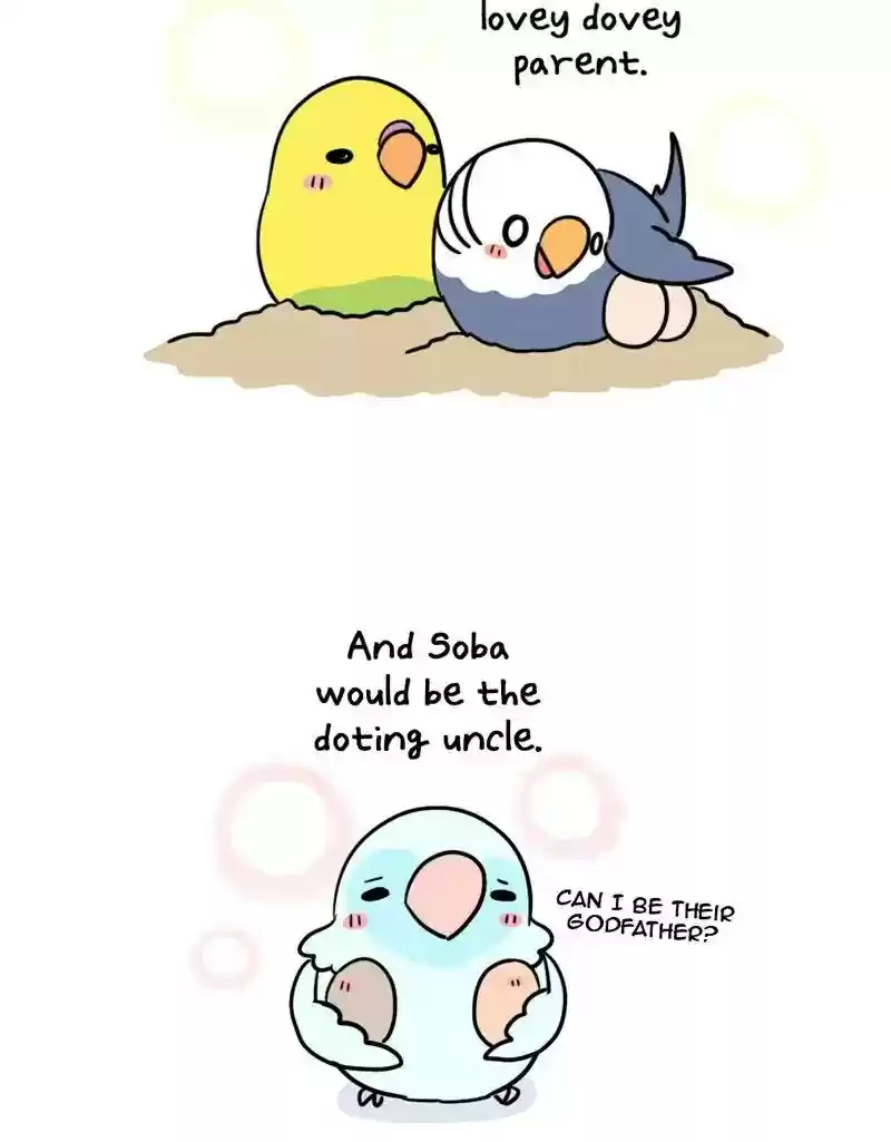 A Budgie's Life Chapter 381: Ep.379: