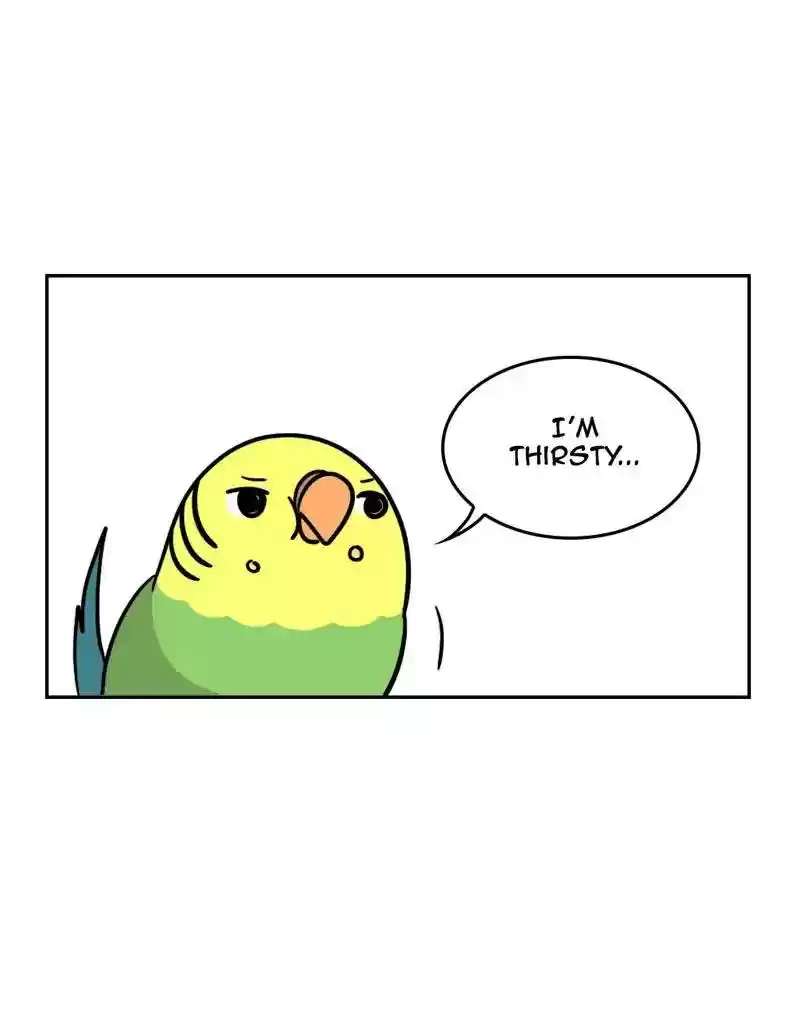 A Budgie's Life Chapter 382: Ep.380: