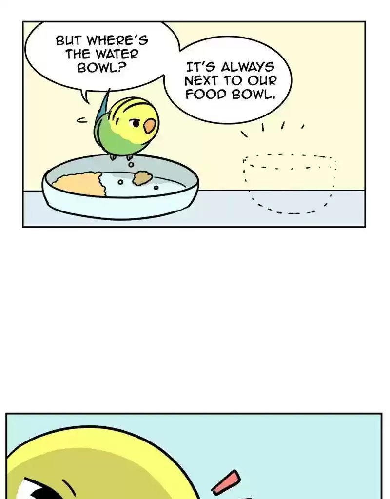 A Budgie's Life Chapter 382: Ep.380: