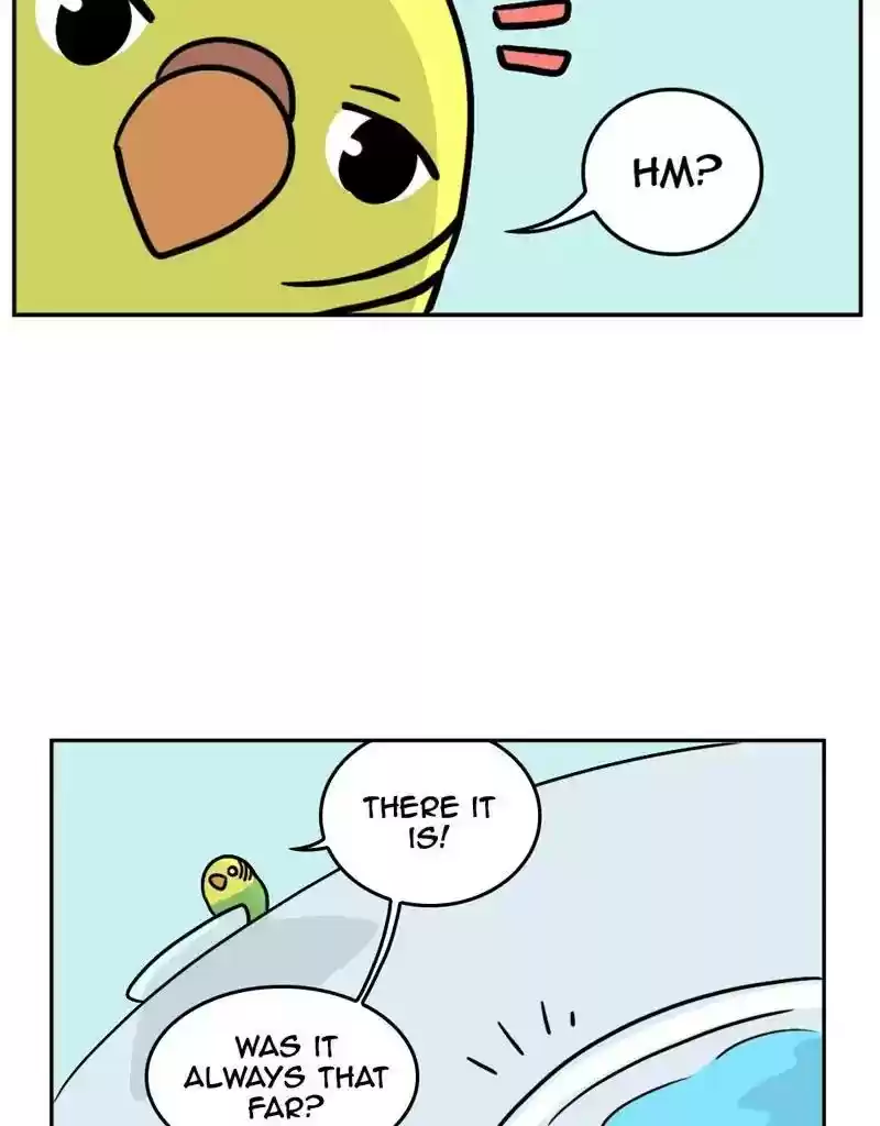 A Budgie's Life Chapter 382: Ep.380: