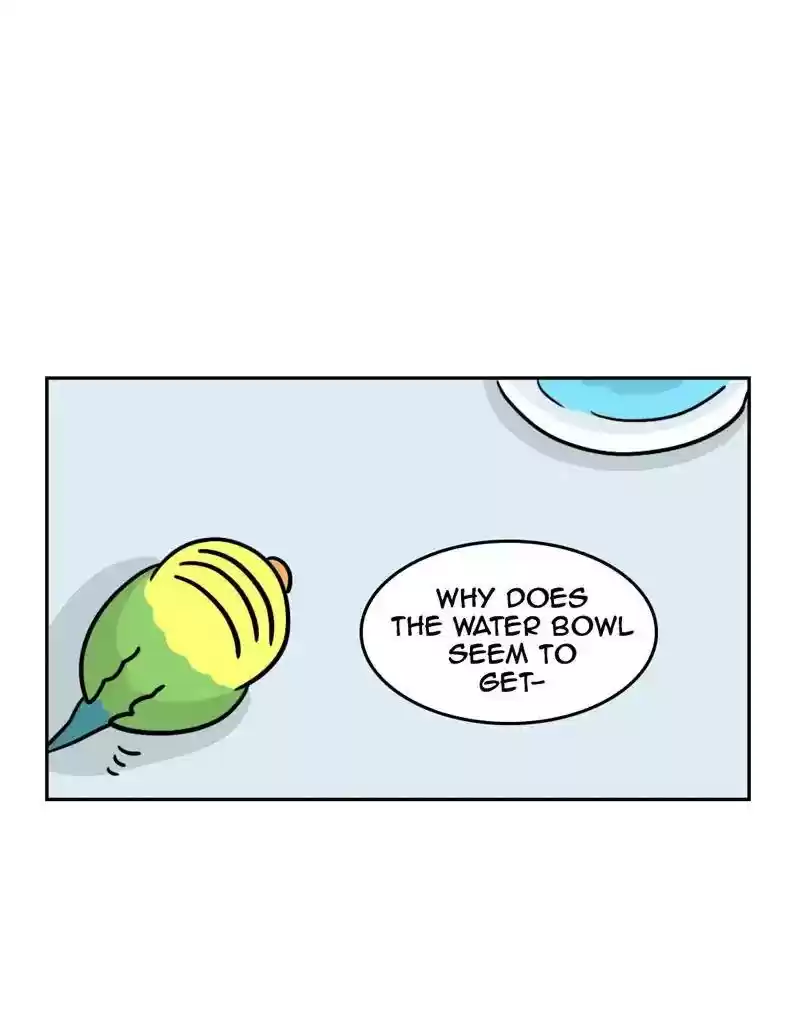 A Budgie's Life Chapter 382: Ep.380: