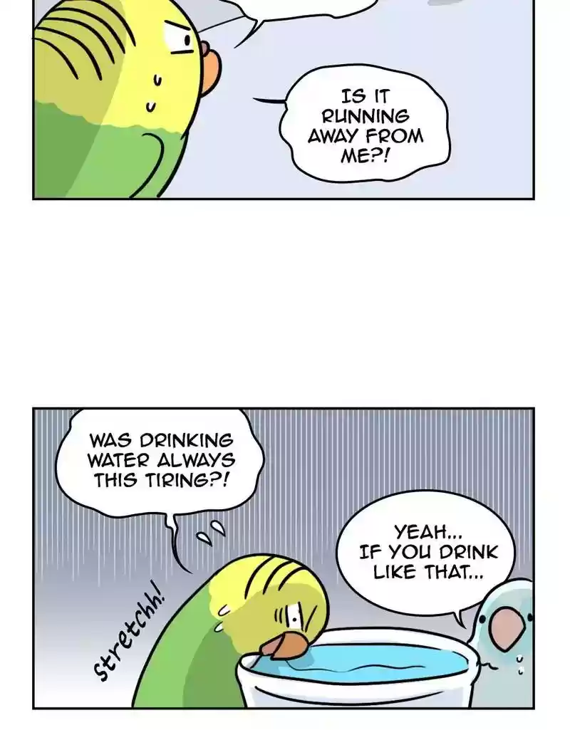 A Budgie's Life Chapter 382: Ep.380: