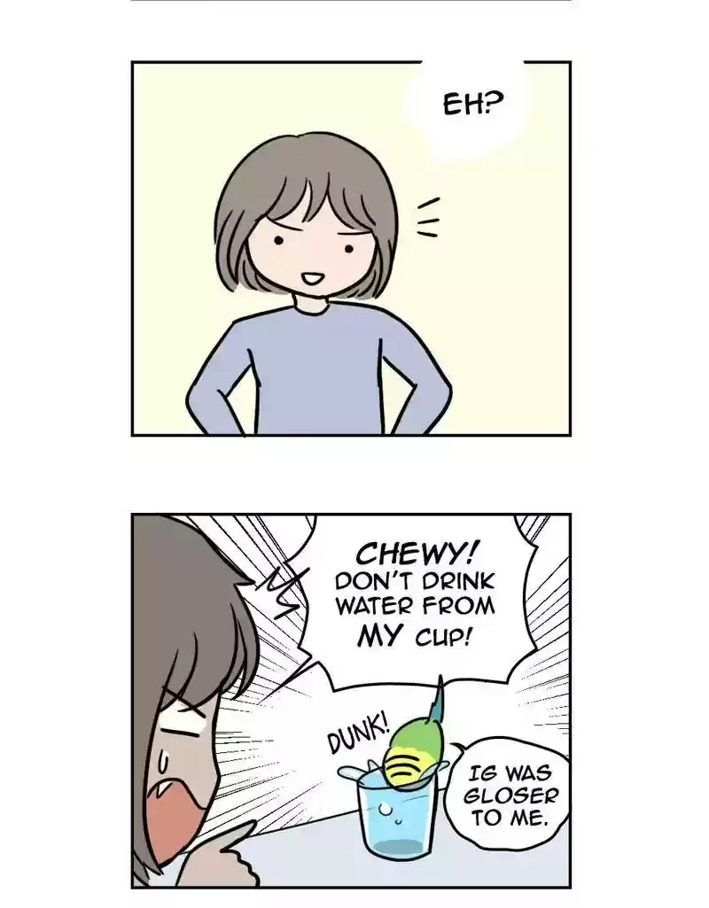 A Budgie's Life Chapter 382: Ep.380: