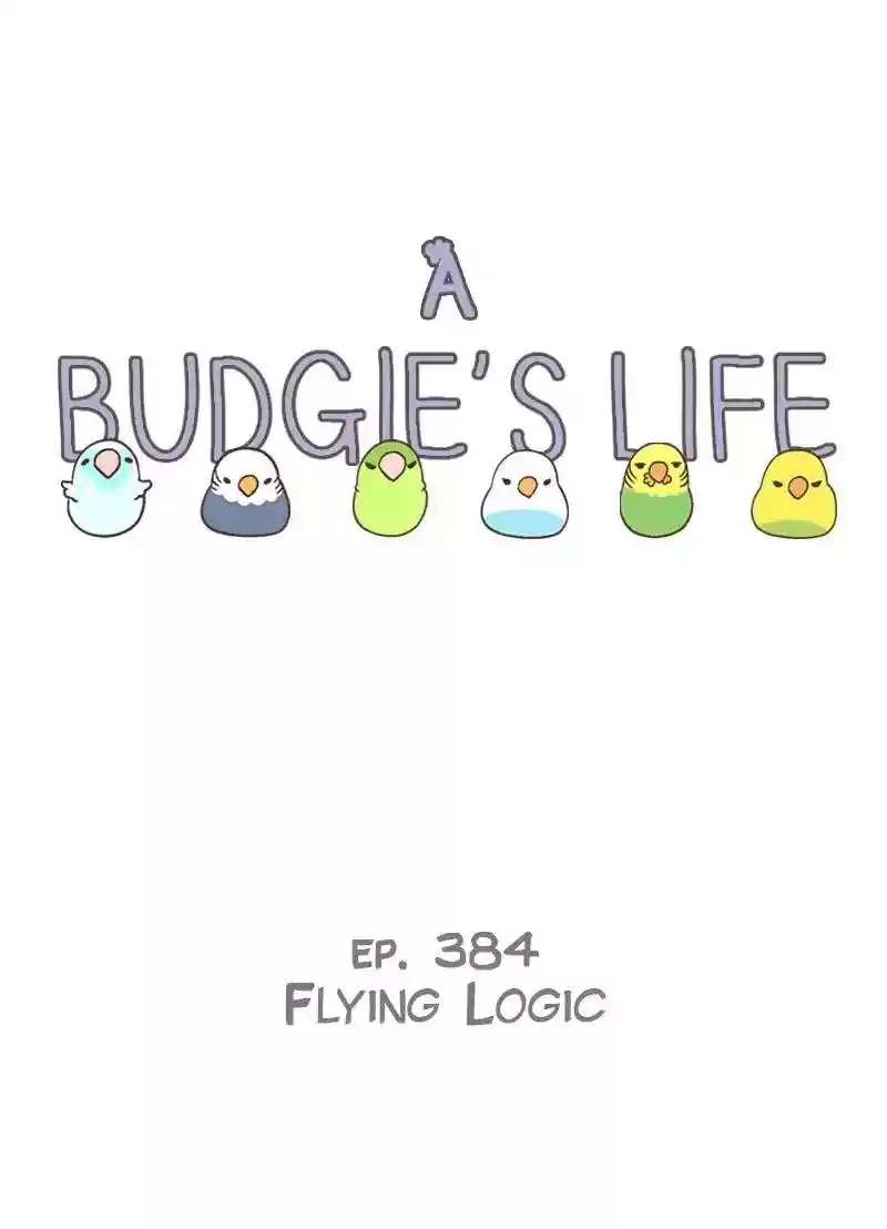 A Budgie's Life Chapter 384: Ep.382: