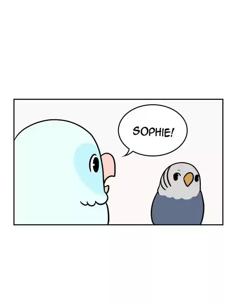A Budgie's Life Chapter 384: Ep.382: