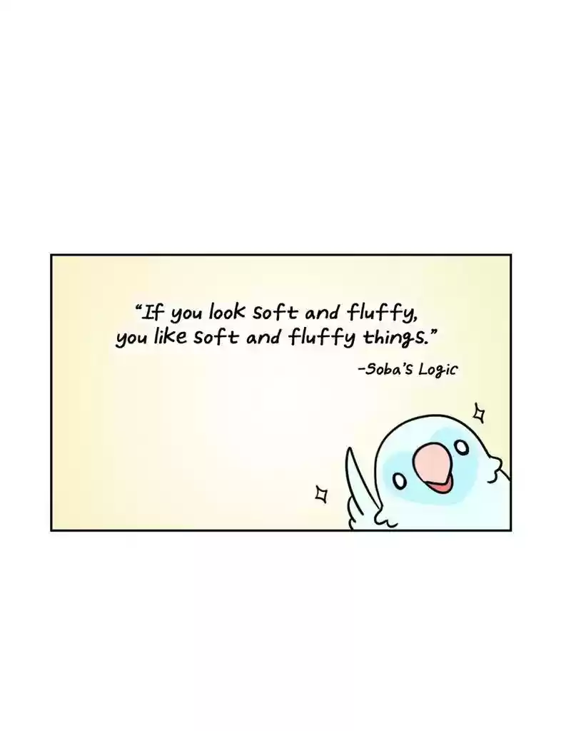 A Budgie's Life Chapter 384: Ep.382: