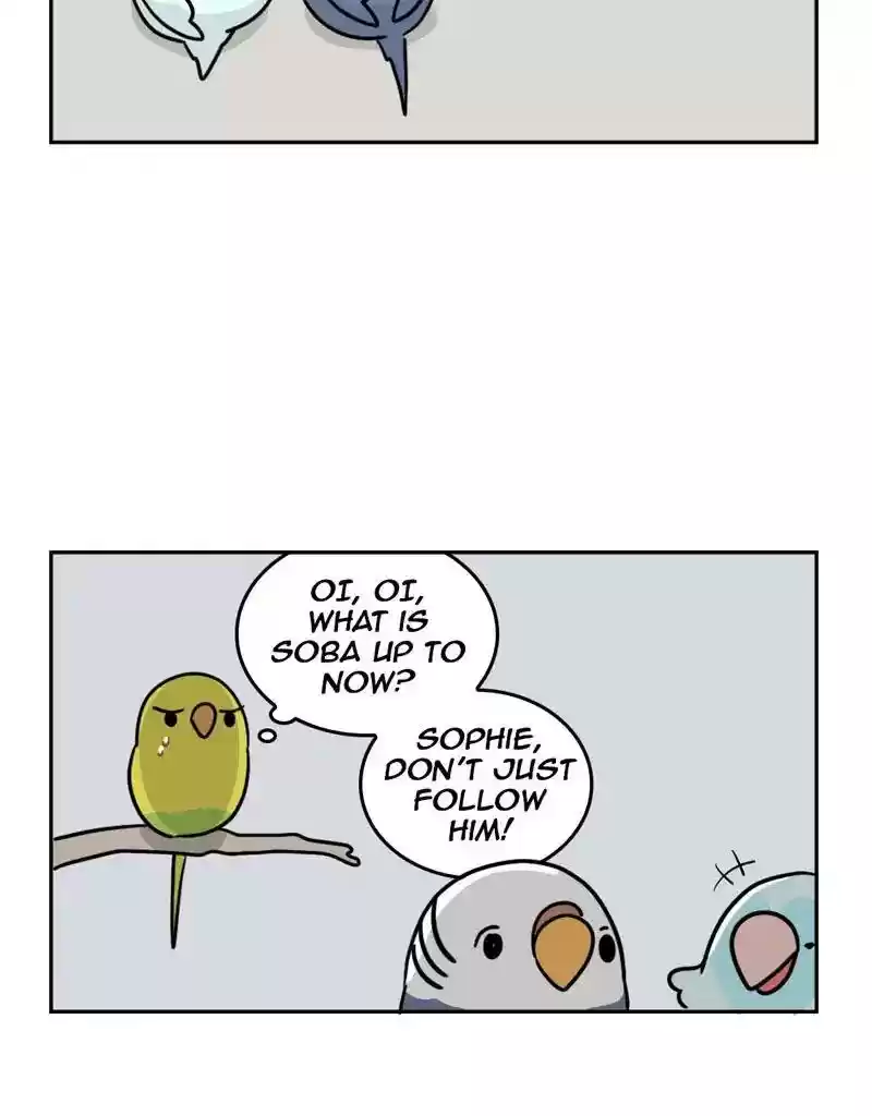 A Budgie's Life Chapter 384: Ep.382: