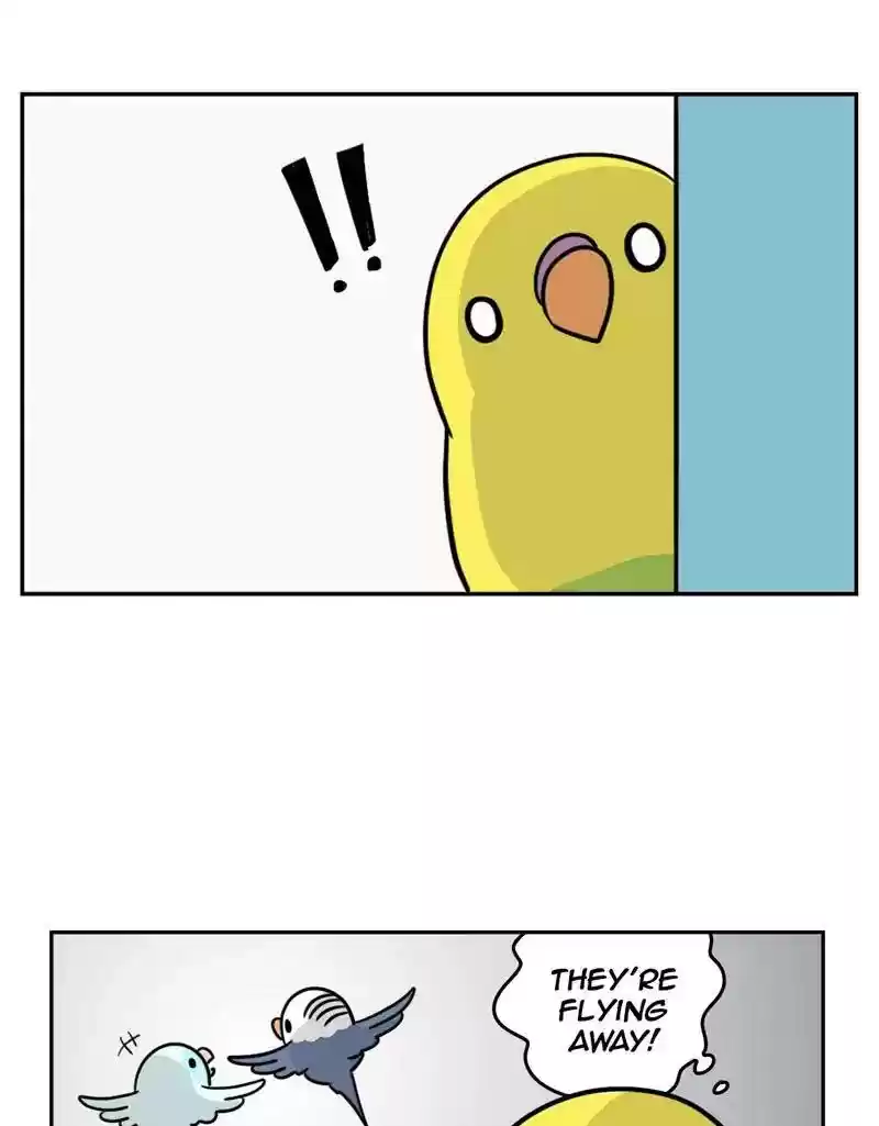 A Budgie's Life Chapter 384: Ep.382: