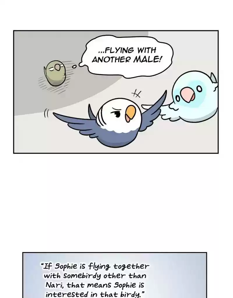 A Budgie's Life Chapter 384: Ep.382: