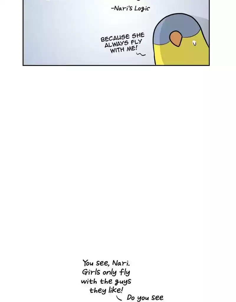 A Budgie's Life Chapter 384: Ep.382: