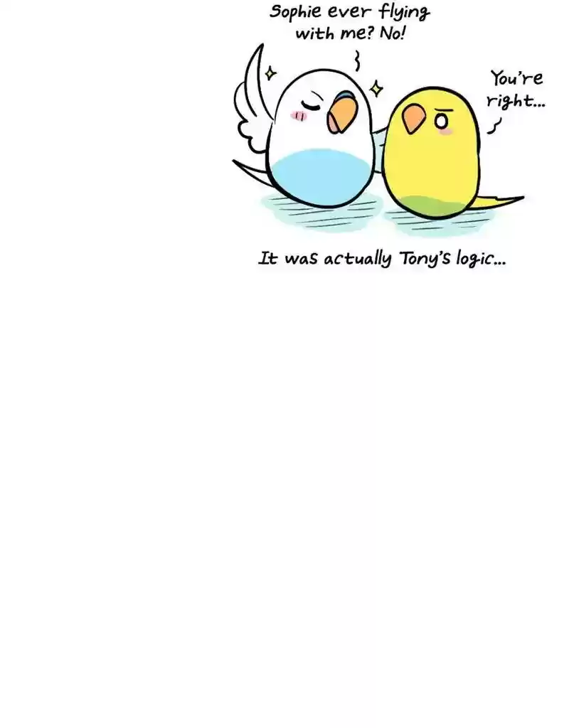 A Budgie's Life Chapter 384: Ep.382: