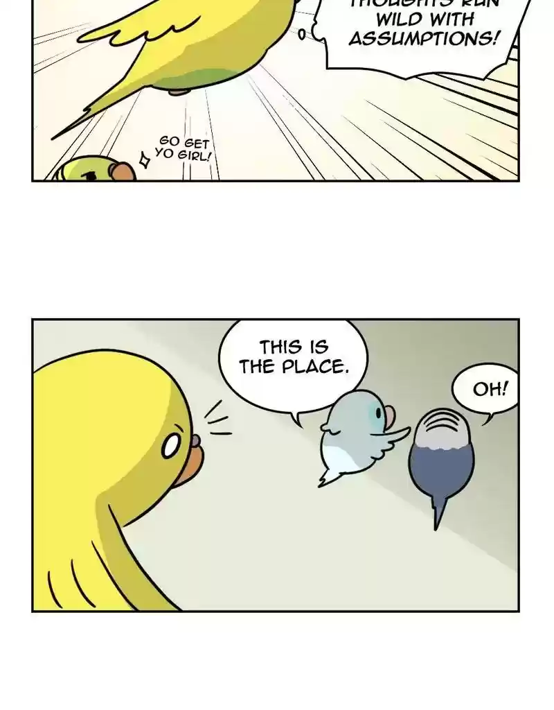 A Budgie's Life Chapter 385: Ep.383: