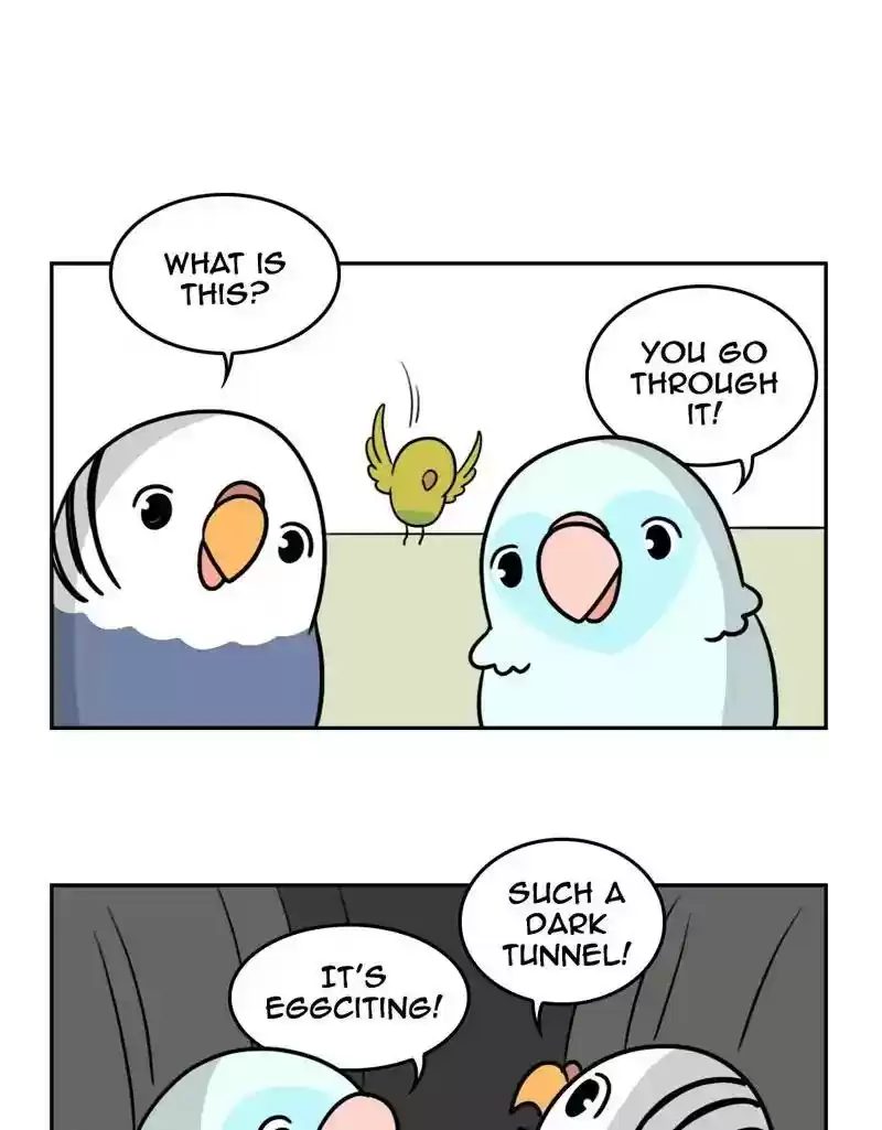 A Budgie's Life Chapter 385: Ep.383: