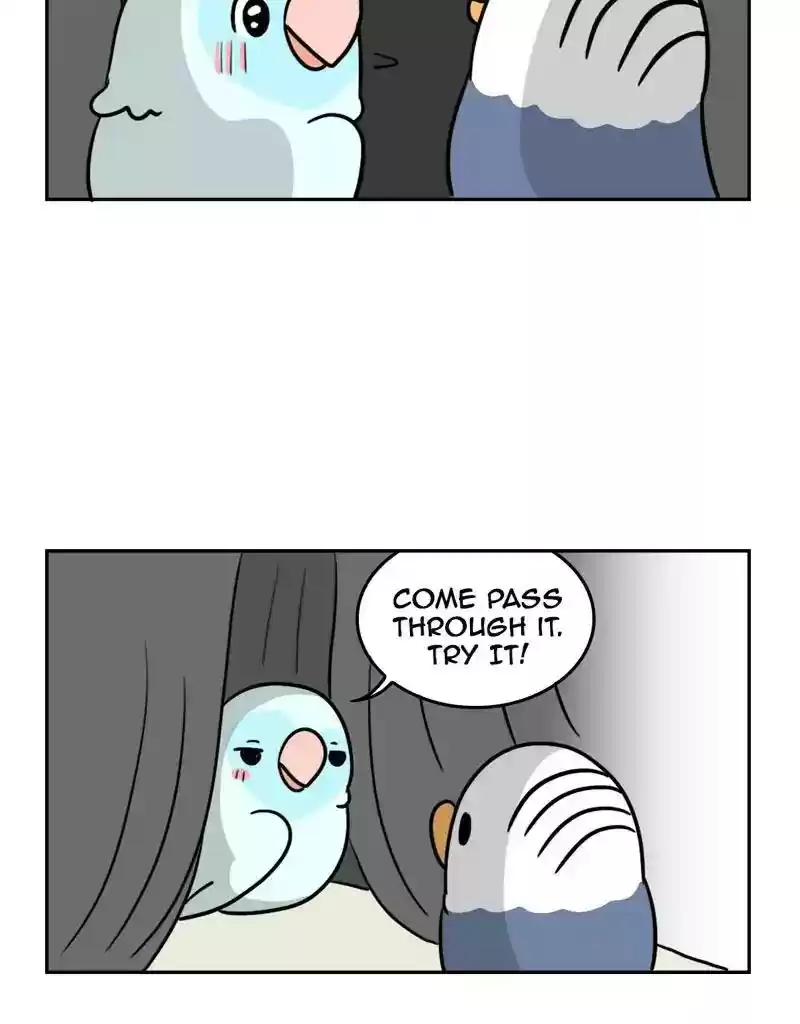 A Budgie's Life Chapter 385: Ep.383: