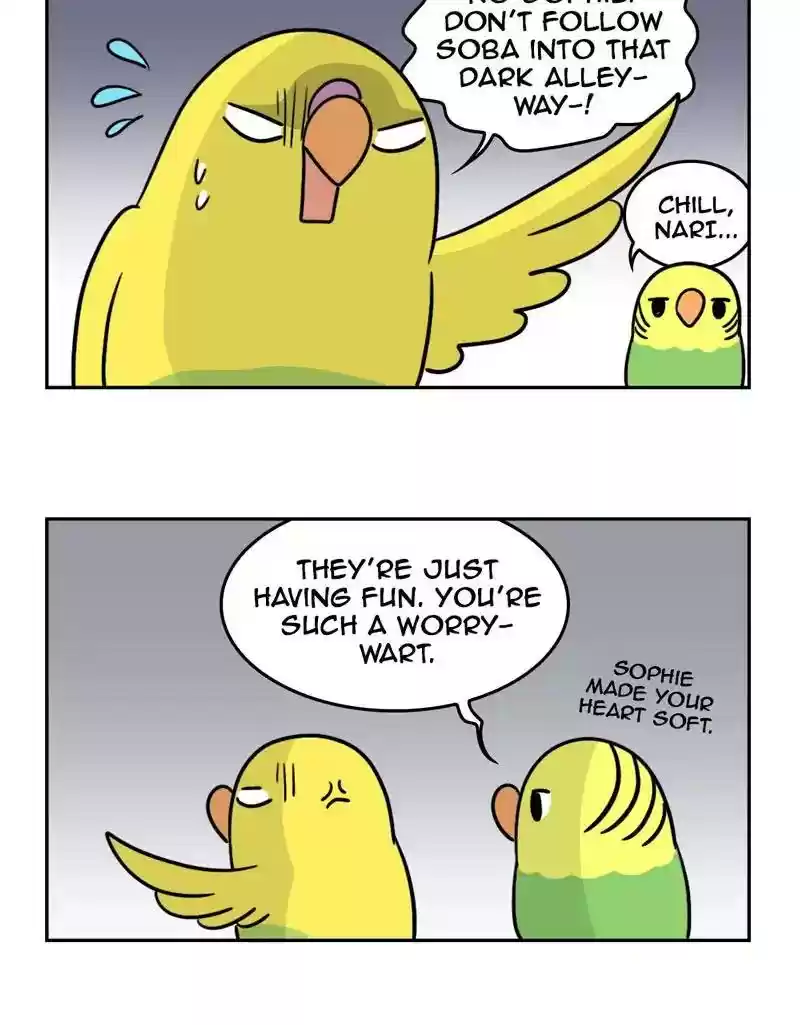 A Budgie's Life Chapter 385: Ep.383: