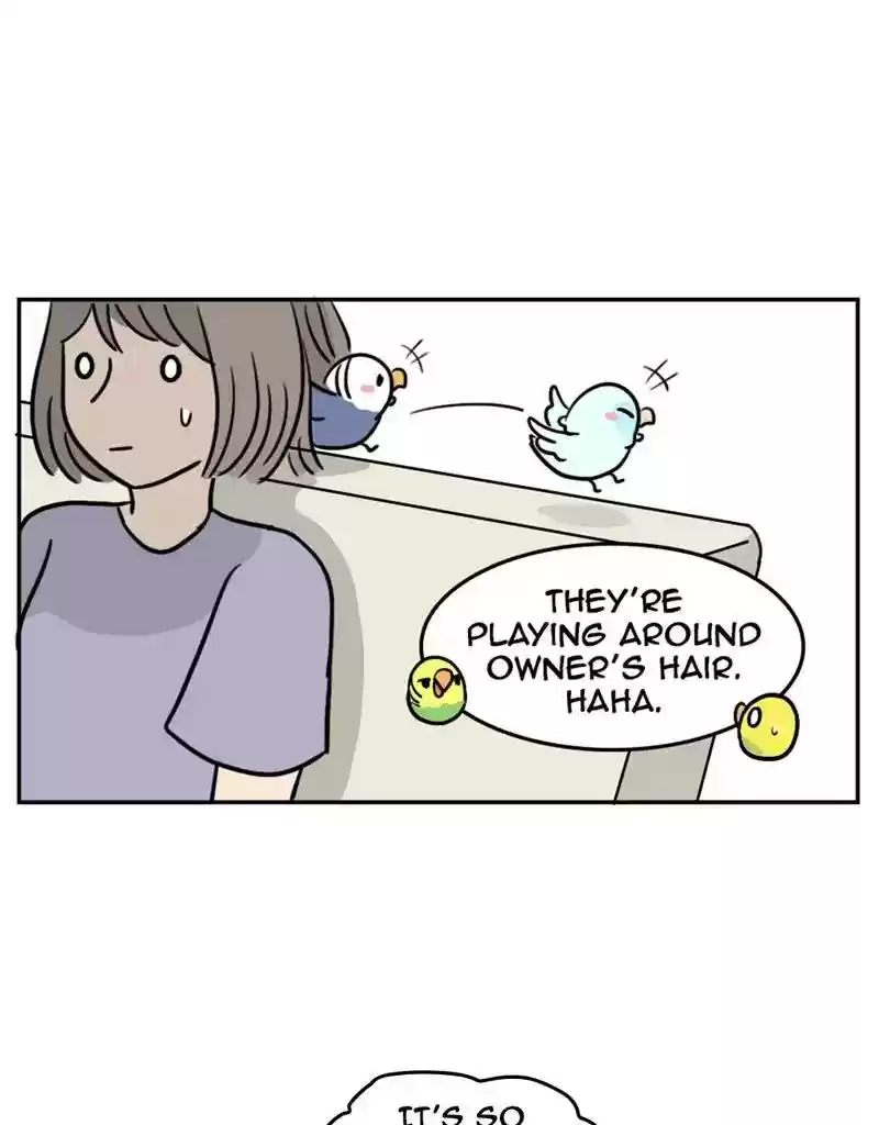 A Budgie's Life Chapter 385: Ep.383: