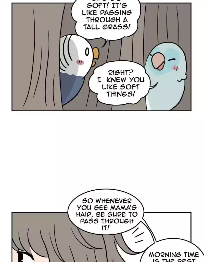 A Budgie's Life Chapter 385: Ep.383: