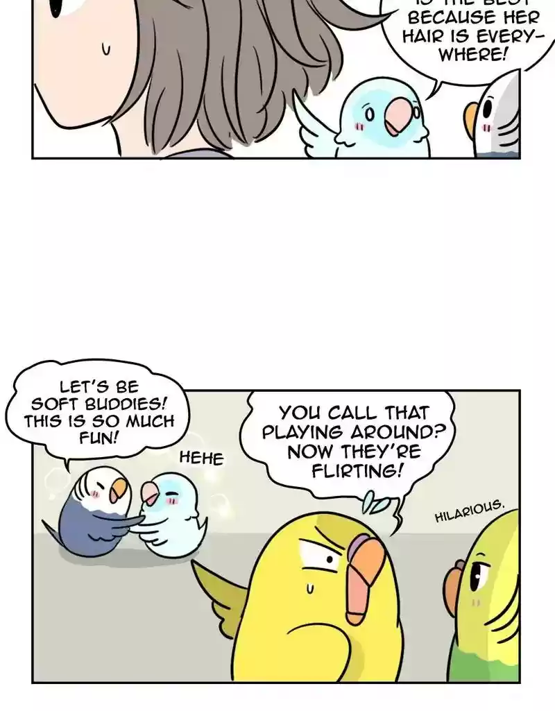 A Budgie's Life Chapter 385: Ep.383: