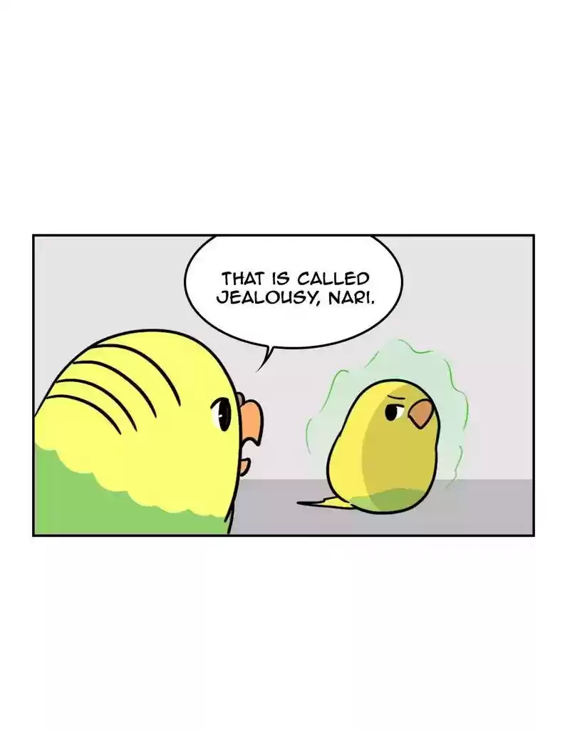 A Budgie's Life Chapter 386: Ep.384: