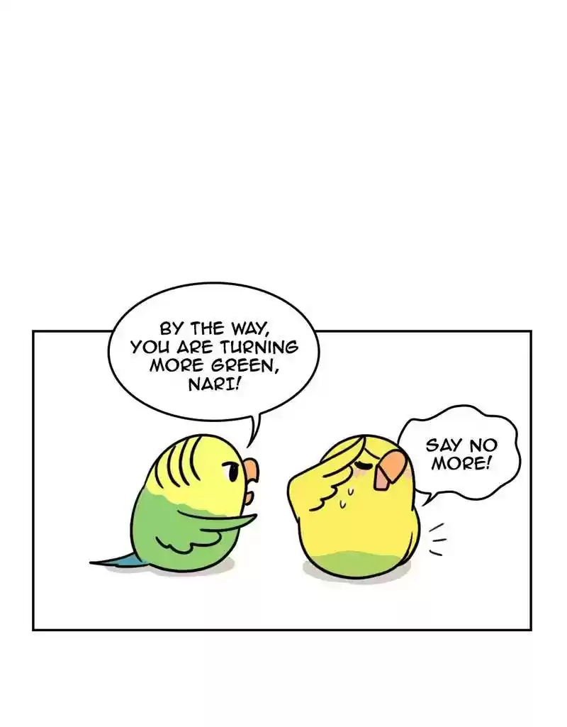 A Budgie's Life Chapter 386: Ep.384: