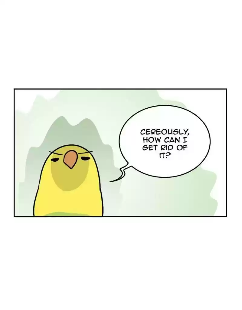A Budgie's Life Chapter 386: Ep.384: