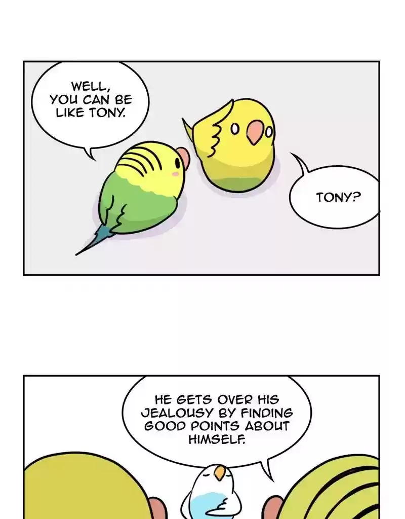 A Budgie's Life Chapter 386: Ep.384:
