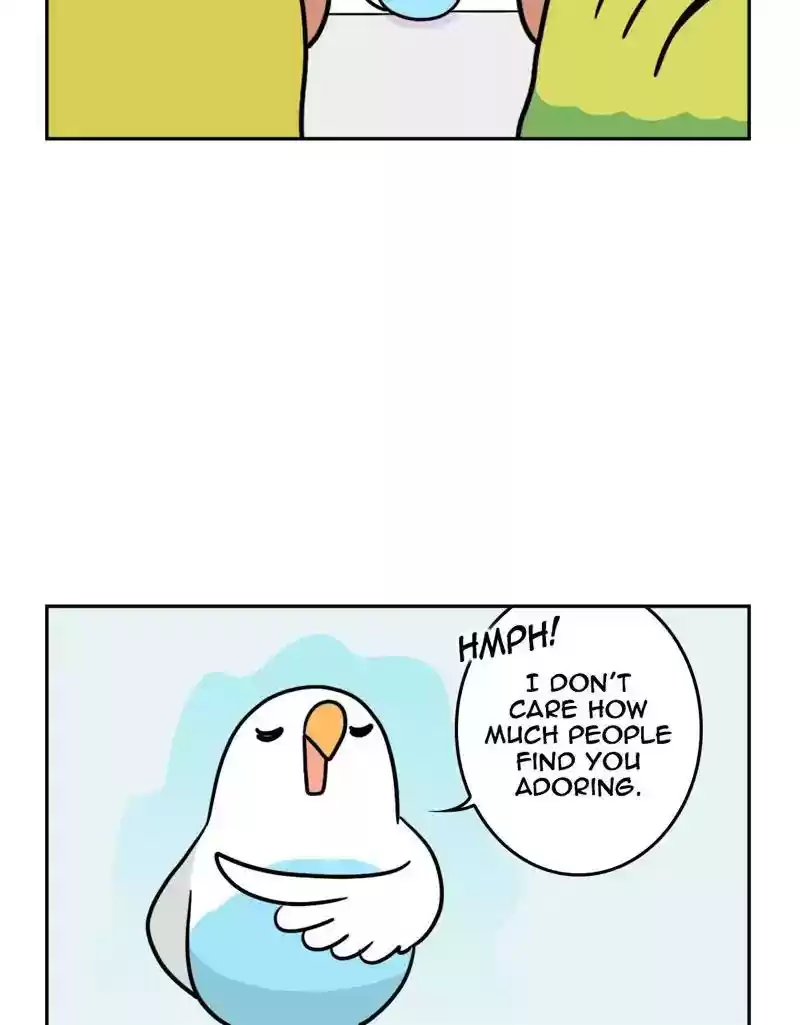 A Budgie's Life Chapter 386: Ep.384: