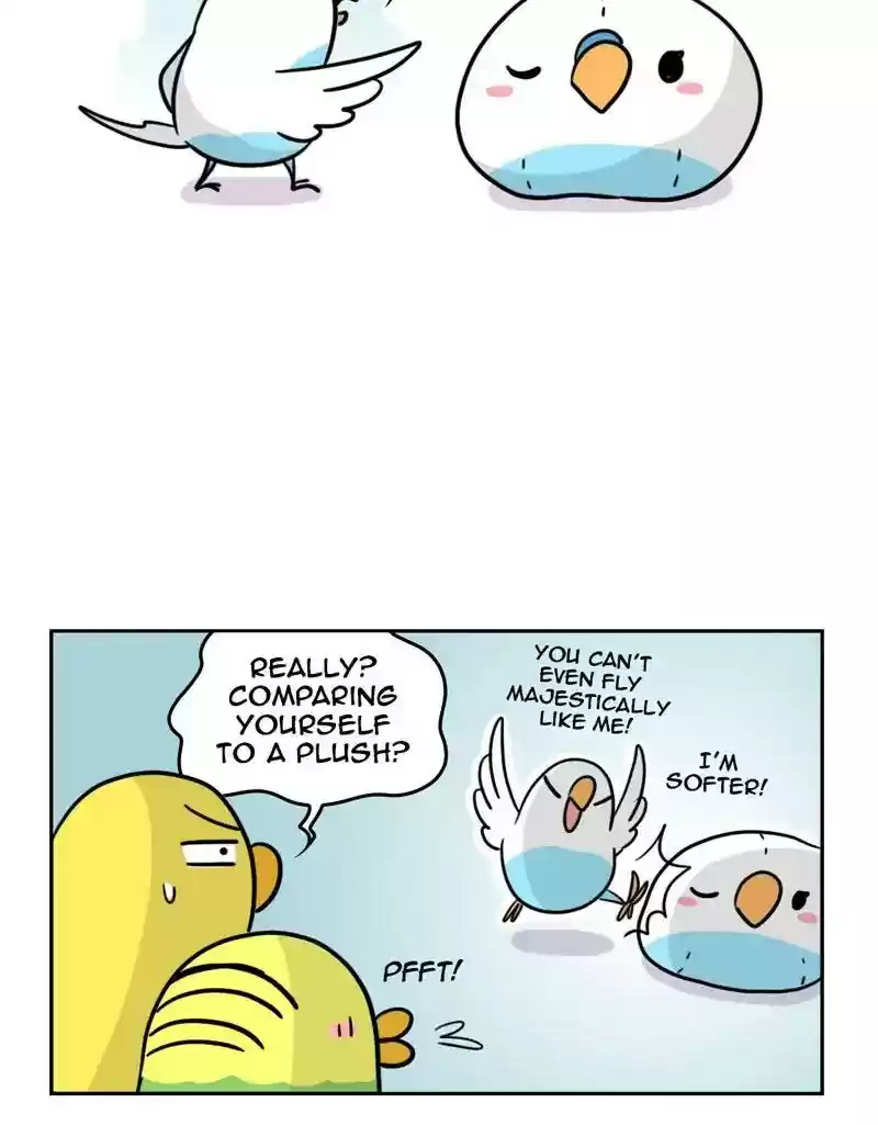 A Budgie's Life Chapter 386: Ep.384: