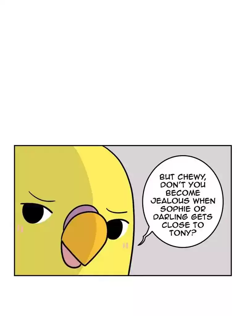 A Budgie's Life Chapter 386: Ep.384: