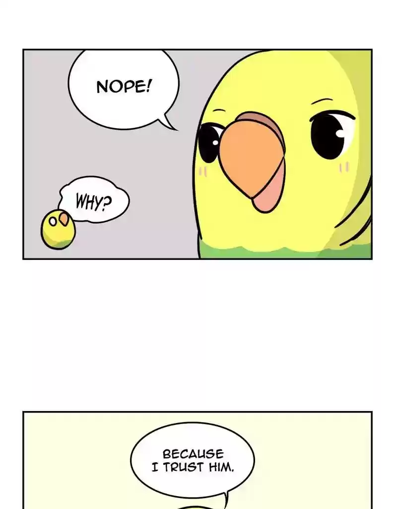 A Budgie's Life Chapter 386: Ep.384: