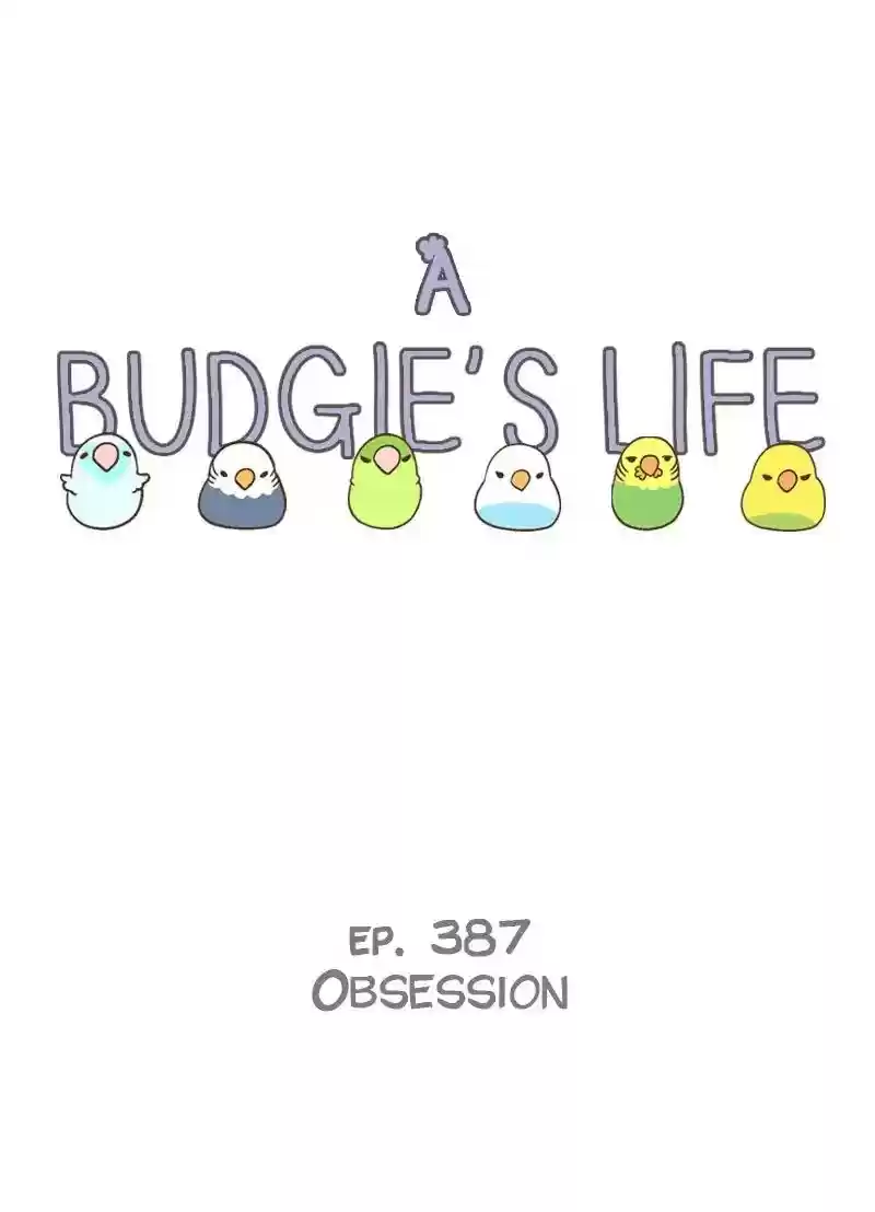 A Budgie's Life Chapter 387: Ep.385: