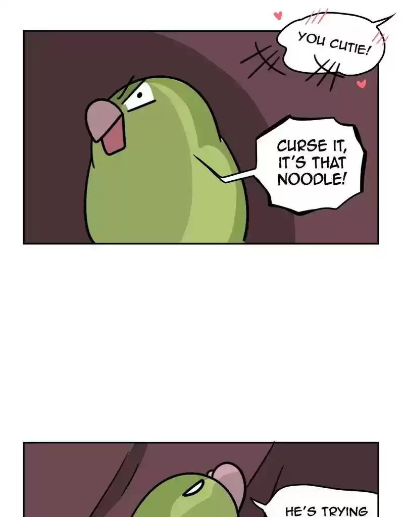 A Budgie's Life Chapter 387: Ep.385: