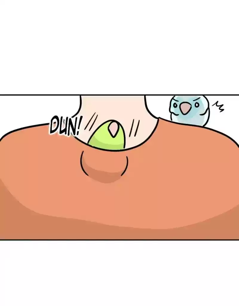 A Budgie's Life Chapter 387: Ep.385: