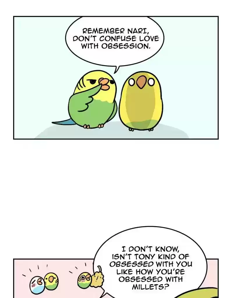A Budgie's Life Chapter 387: Ep.385: