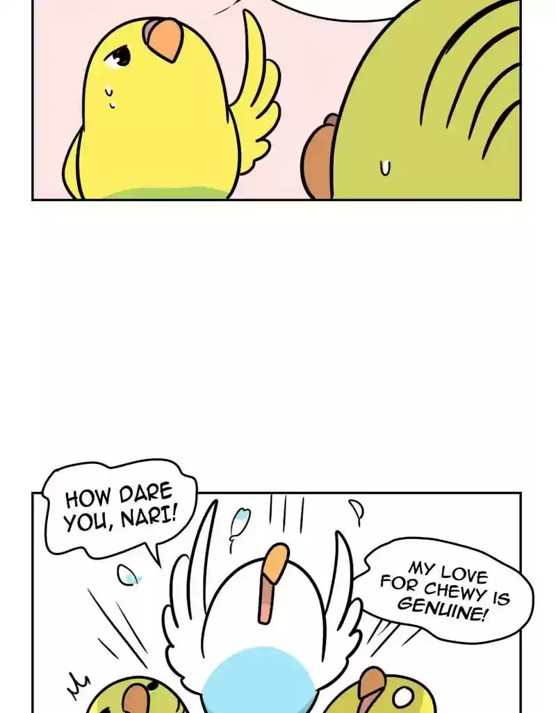 A Budgie's Life Chapter 387: Ep.385:
