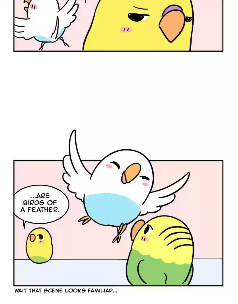 A Budgie's Life Chapter 387: Ep.385: