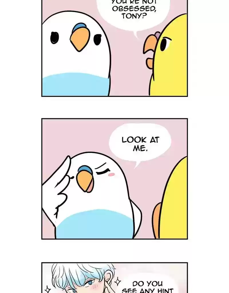 A Budgie's Life Chapter 387: Ep.385: