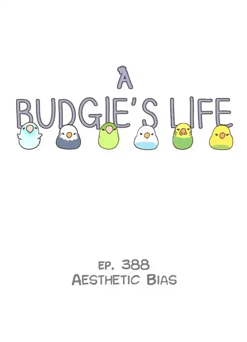 A Budgie's Life Chapter 388: Ep.386: