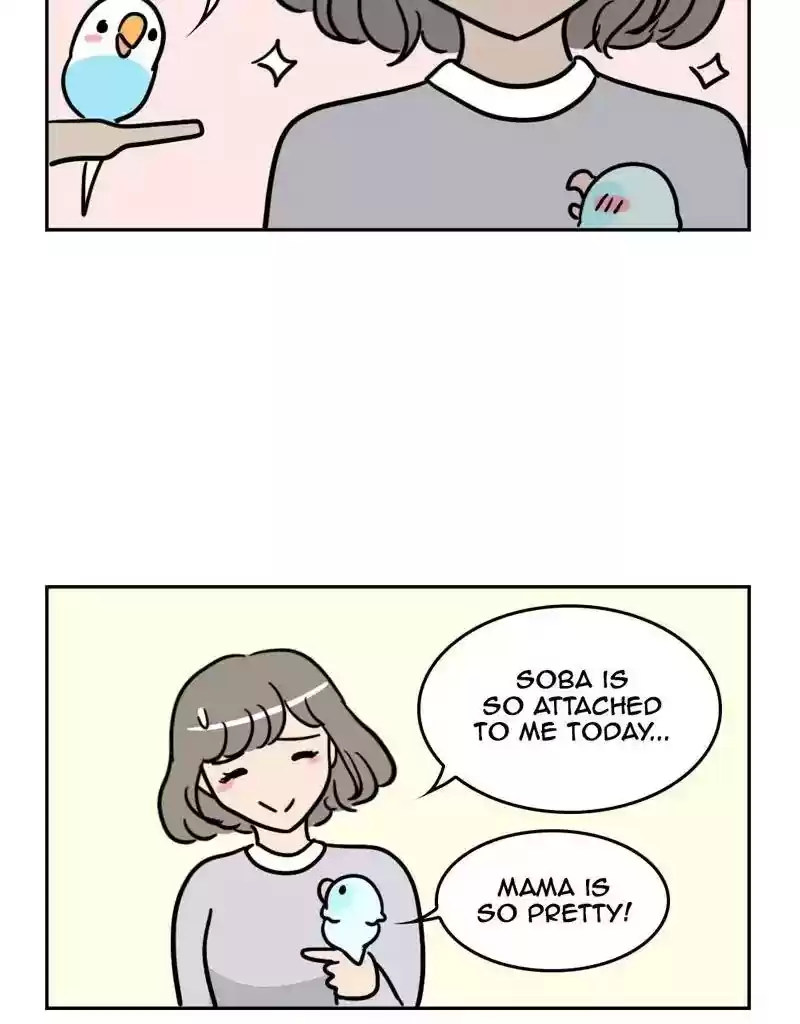 A Budgie's Life Chapter 388: Ep.386: