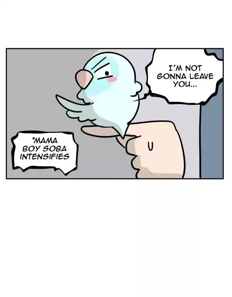 A Budgie's Life Chapter 388: Ep.386: