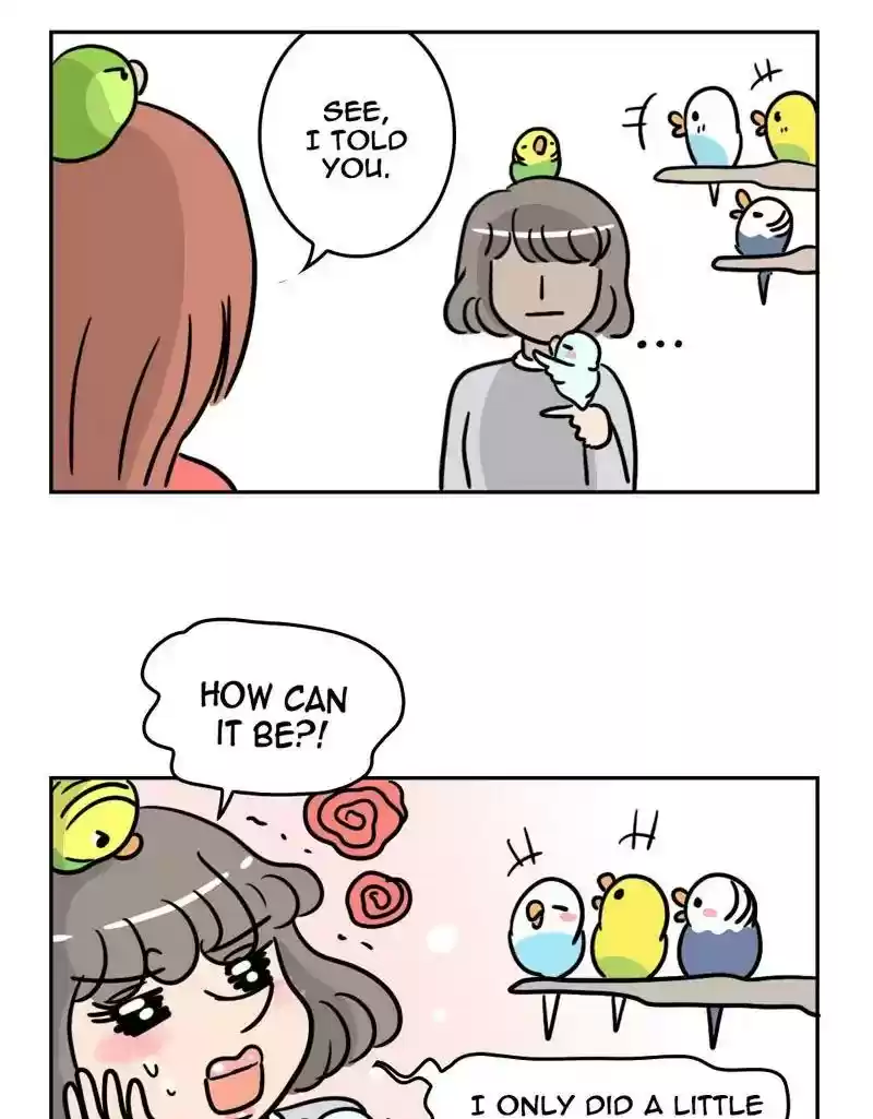 A Budgie's Life Chapter 388: Ep.386: