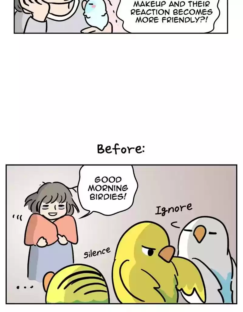 A Budgie's Life Chapter 388: Ep.386: