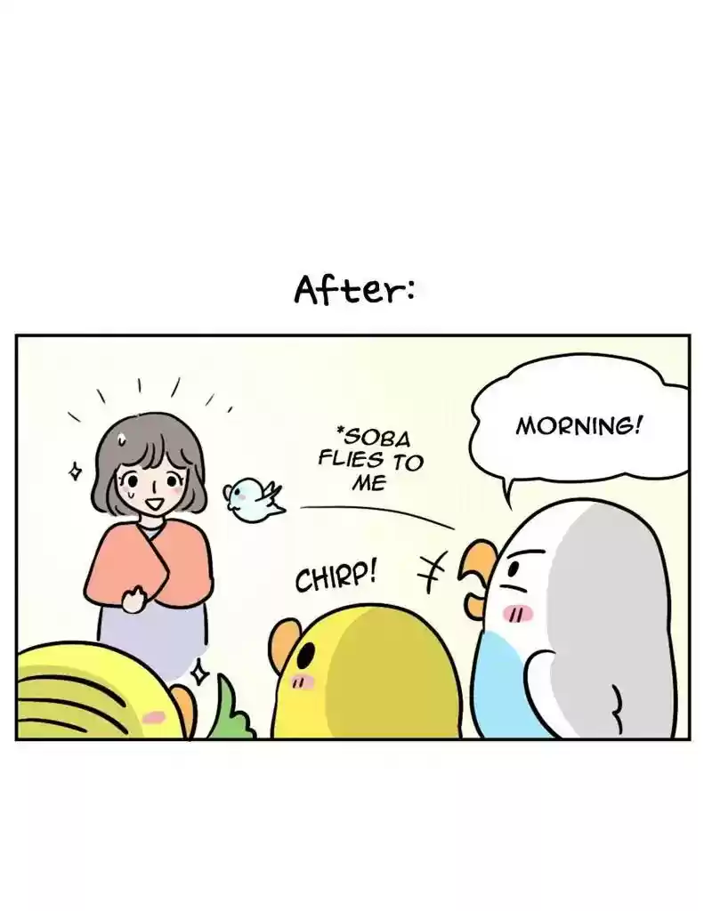 A Budgie's Life Chapter 388: Ep.386: