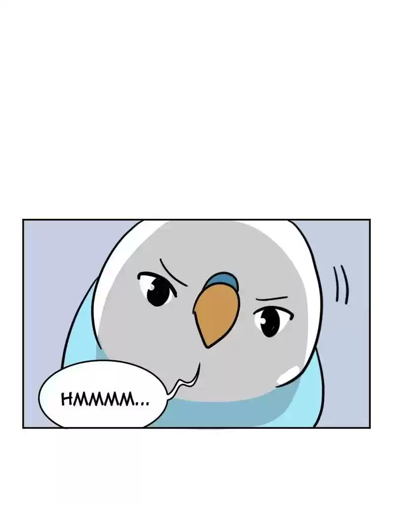 A Budgie's Life Chapter 389: Ep.387: