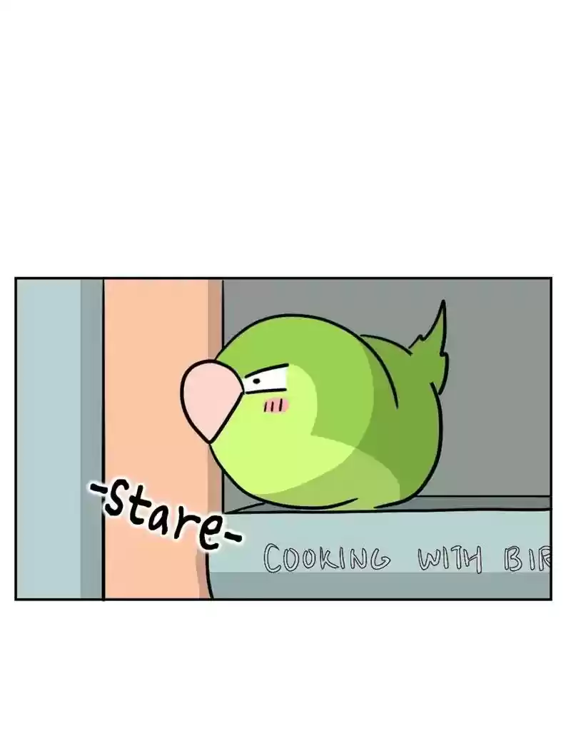 A Budgie's Life Chapter 389: Ep.387: